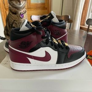 Beetroot Jordan Ones